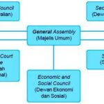 Pelajari apa itu Dewan Hak Asasi Manusia PBB, termasuk fungsi utama, struktur organisasi, serta tugasnya dalam memantau dan melindungi hak asasi di seluruh dunia