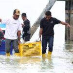 Setelah gempa di NTT, Kementerian Kelautan dan Perikanan melakukan validasi data nelayan serta menilai kerusakan kapal untuk penanganan cepat dan pemulihan sektor perikanan