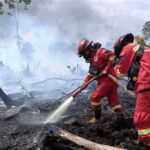 Malaysia memuji langkah cepat Indonesia dalam memadamkan kebakaran hutan, menilai respons efektif dan penting bagi kawasan
