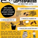 Sorotan Utama GMA: Dari Ancaman Leptospirosis Hingga Dinamika Politik Filipina