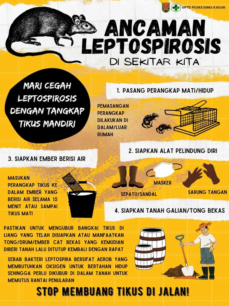 Sorotan Utama GMA: Dari Ancaman Leptospirosis Hingga Dinamika Politik Filipina