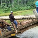 Tragedi Jembatan Gantung Pangandaran Ambruk Pasca Peresmian: Kronologi dan Dampak bagi Warga