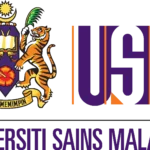 Drama Kartu Merah Thom Haye dan Update Klasemen ASEAN Championship 2026: Skenario Lolos Garuda!