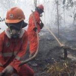 Menhut Cabut Izin 5 Perusahaan Terkait Karhutla di Kalimantan, Pemerintah Tegaskan Tindakan Cepat untuk Hentikan Kebakaran Hutan