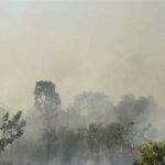 Komisi IX DPR dorong penetapan KLB Kabut Asap di wilayah terdampak kebakaran hutan, menuntut aksi cepat pemerintah