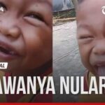 Kelakuan hewan yang kocak membuat netizen tertawa terbahak‑bahak, kini berpeluang meraih penghargaan komedi internasional