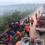 Karhutla Mengancam Habitat Orang Utan di Kawasan Kobar, Pemerintah Siapkan Water Bombing untuk Pemadaman Cepat