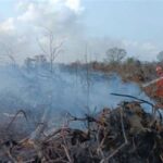 Asap Karhutla yang Membubung di Riau Memicu Kenaikan Kasus ISPA, Menyebabkan Kekhawatiran Kesehatan Publik di Wilayah Terdampak