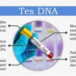 Hasil analisis DNA jenazah yang ditemukan di Pulau Enggano masih belum dapat mengidentifikasi korban sebagai jurnalis, menimbulkan pertanyaan tentang identitas sebenarnya