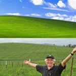 Lokasi asli wallpaper Windows XP terungkap, mengapa banyak pengguna merasa kecewa dengan hasilnya