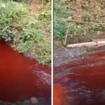 Air Kolam di Gunung Sindur Bogor Tiba-tiba Berubah Menjadi Merah, Warga Kebingungan dan Ilmuwan Diperiksa