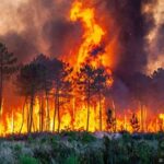 Seskab laporkan penempatan 64 pesawat dan 54 ribu personel untuk penanggulangan kebakaran hutan dan lahan, upaya intensif pemerintah