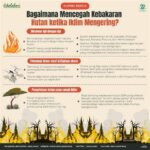 Menhut menegaskan kesiapan maksimal dalam mitigasi kebakaran hutan dan lahan (karhutla) di seluruh kawasan konservasi dengan langkah preventif terkoordinasi