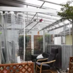 Sisi Gelap Fenomena Arisan: Dari Camilan Manis Hingga Jeratan Penipuan Miliaran Rupiah
