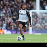 Akhiri Tren Tanpa Kemenangan, Alex Iwobi Bawa Fulham Tekuk Hull City di Craven Cottage