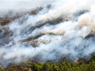 Asia Tenggara Terkepung Kabut Asap: Penerbangan Dibatalkan, Permintaan Alat Kesehatan Melonjak Tajam