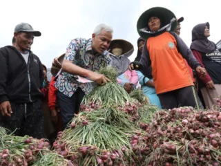 Babak Baru Ombudsman RI: Misi Berat Nuzran Joher Memulihkan Kepercayaan Publik