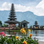 Bali United Pesta Gol di Gianyar: Garudayaksa FC Hancur Lebur Lima Gol Tanpa Balas
