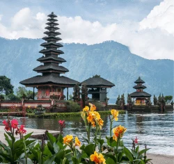 Bali United Pesta Gol di Gianyar: Garudayaksa FC Hancur Lebur Lima Gol Tanpa Balas
