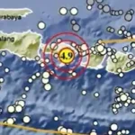 Bukan Sesar Aktif Daratan, Ternyata Ini Penyebab Gempa M 5,0 yang Menggetarkan Bali dan Lombok