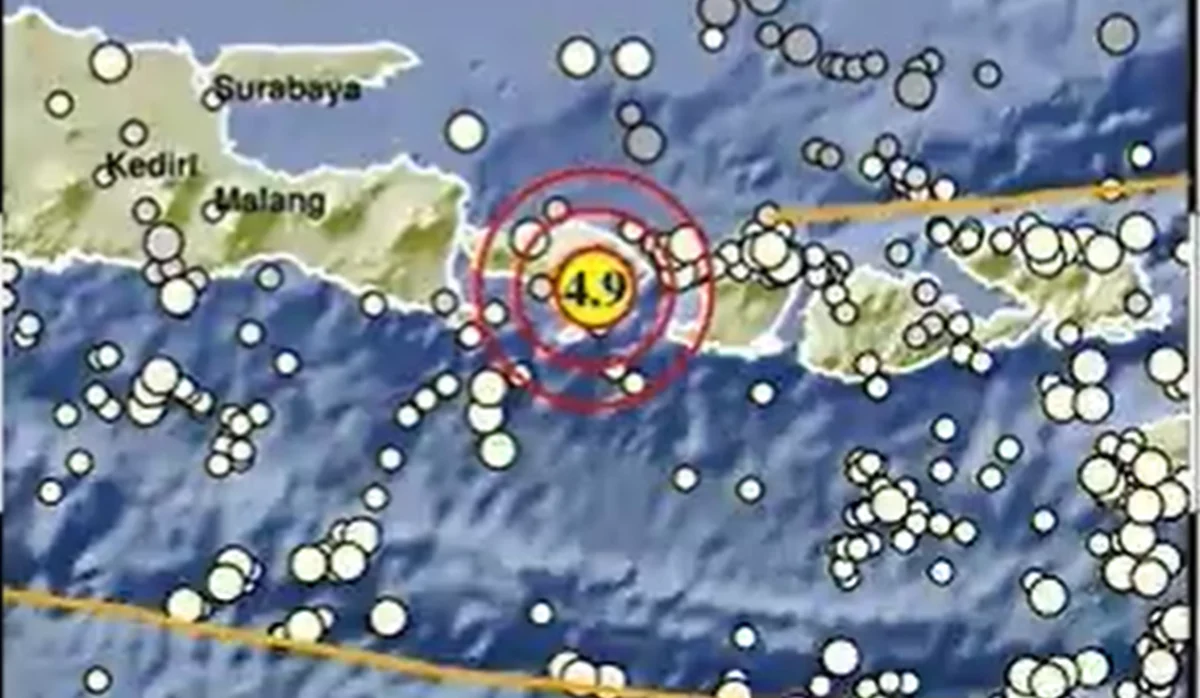 Bukan Sesar Aktif Daratan, Ternyata Ini Penyebab Gempa M 5,0 yang Menggetarkan Bali dan Lombok