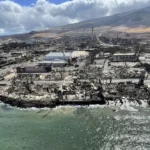 Dinamika Global: Dari Rahasia Produksi Beat 808 Hingga Pemulihan Bencana di Hawaii