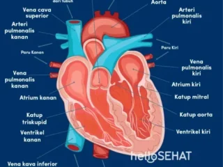 Duka dan Dinamika di Mallorca: Dari Tragedi Kecelakaan Maut hingga Isu Eksploitasi Pekerja