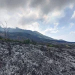 Gunung Arjuno Membara: Kebakaran Hebat Melanda Tahura Raden Soerjo, Jalur Pendakian Ditutup Total