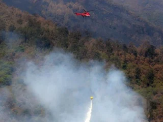 Gunung Lawu Membara: 230 Hektare Lahan Terbakar, Helikopter TNI Dikerahkan dalam Operasi Water Bombing