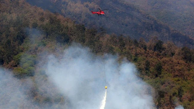 Gunung Lawu Membara: 230 Hektare Lahan Terbakar, Helikopter TNI Dikerahkan dalam Operasi Water Bombing