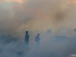Indonesia Darurat Kabut Asap: Sektor Penerbangan Lumpuh di Berbagai Wilayah Akibat Karhutla