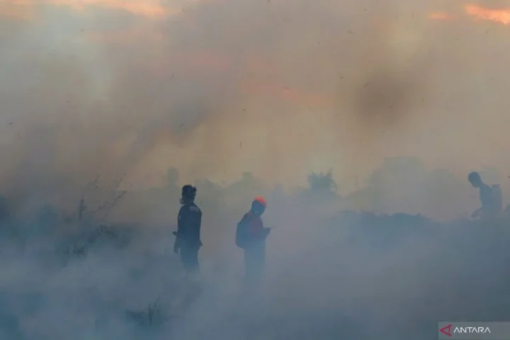 Indonesia Darurat Kabut Asap: Sektor Penerbangan Lumpuh di Berbagai Wilayah Akibat Karhutla