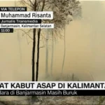 Indonesia Terbelah: Kabut Asap Melanda Wilayah Pesisir dan Kalimantan, Sementara Kendari Hirup Udara Paling Bersih