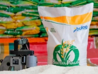 Ketahanan Pangan Indonesia Menguat: Stok Melimpah, Bansos Cair, hingga Manfaat Air Beras bagi Tanaman