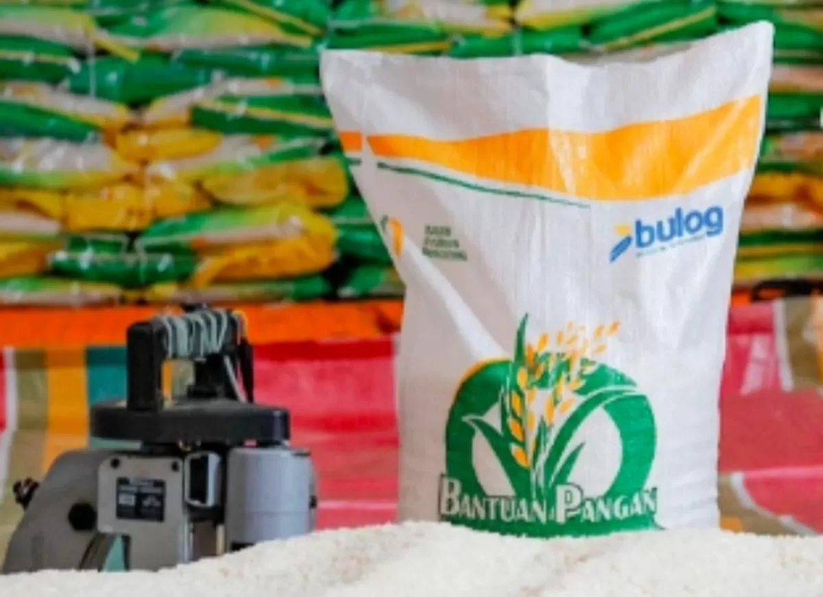 Ketahanan Pangan Indonesia Menguat: Stok Melimpah, Bansos Cair, hingga Manfaat Air Beras bagi Tanaman