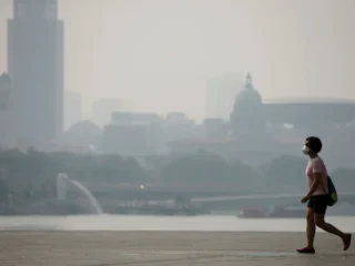 Krisisi Kabut Asap Lintas Batas: Singapura Tindak Tegas 7 Perusahaan di Indonesia