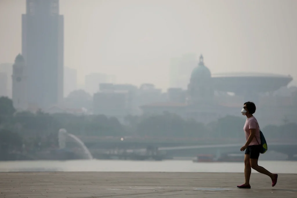Krisisi Kabut Asap Lintas Batas: Singapura Tindak Tegas 7 Perusahaan di Indonesia