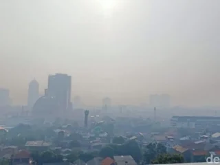 Langit Jakarta Berkabut: Benarkah Asap Karhutla Sampai Jakarta atau Hanya Polusi Biasa?