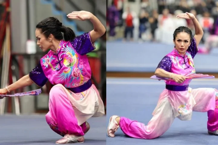 Lebih dari Sekadar Hiburan: Dari Prestasi Krisdayanti hingga Legenda Wushu Dunia