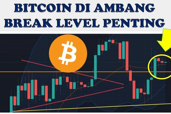 Masa Depan Bitcoin: Antara Fluktuasi Harga di Ambang $80.000 dan Inovasi Asuransi untuk Keluarga Kaya