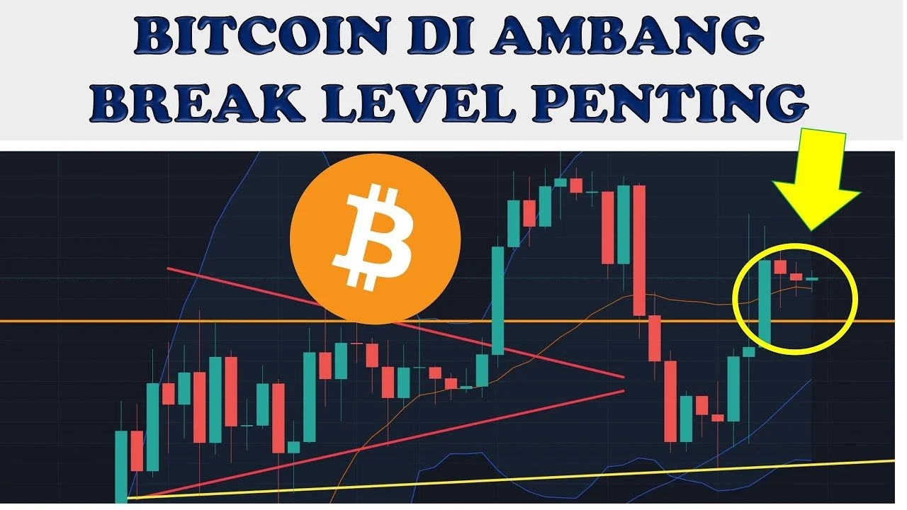 Masa Depan Bitcoin: Antara Fluktuasi Harga di Ambang $80.000 dan Inovasi Asuransi untuk Keluarga Kaya