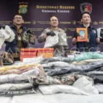 Modus Tak Terduga: Dari Ayam Goreng hingga Drone, Gelombang Penyelundupan Barang Ilegal Terus Mengintai Indonesia