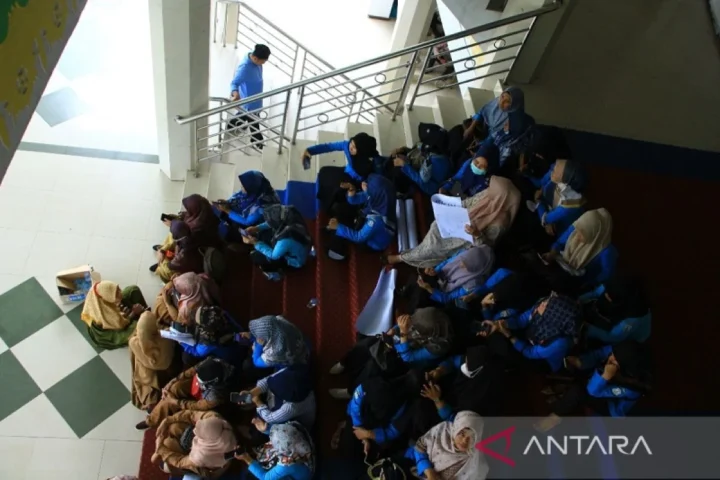 Nasib Sena di Ujung Tanduk: Antara Perjuangan Hidup di Rumah Sakit dan Ancaman Maut yang Menghantui