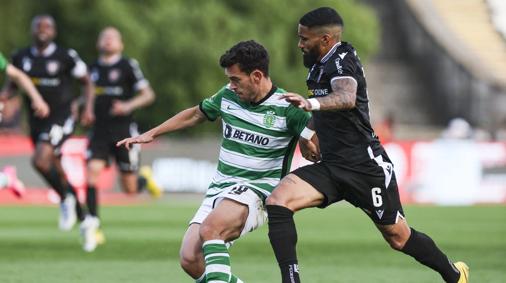 Sporting Kembali ke Jalur Kemenangan, Casa Pia Tak Berdaya di Rio Maior