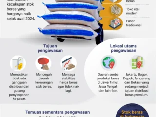 Strategi Besar Bulog: Dari Satgas Pengawas Distribusi hingga Amankan Pasokan Beras Premium Nasional
